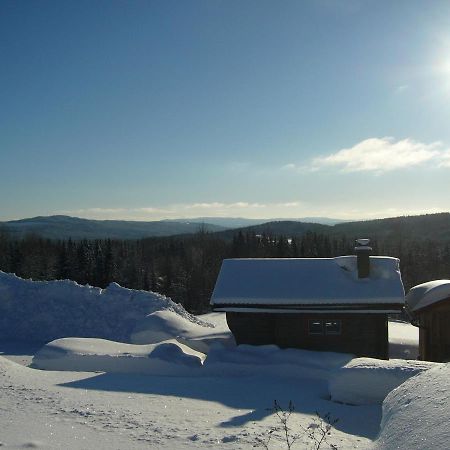 Panoramaboende Torsby Exterior photo